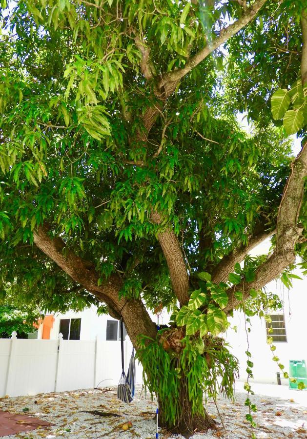 Beautiful Casita With King Bed And Private Patio Close To Calle 8, Mia Airport, Coral Gables Miami Exterior photo